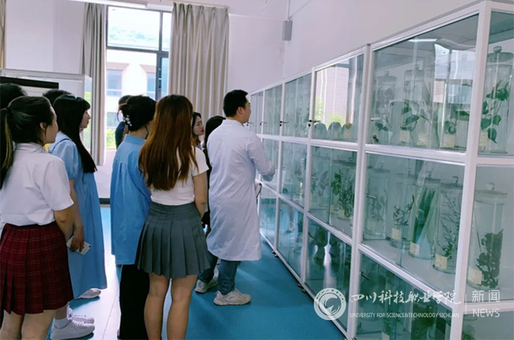 我校药学院开展职教周活动(图1)