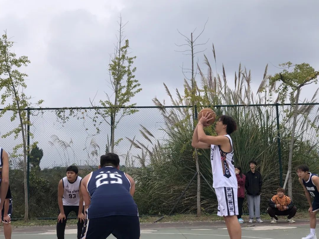 1-231114215GM31.jpg