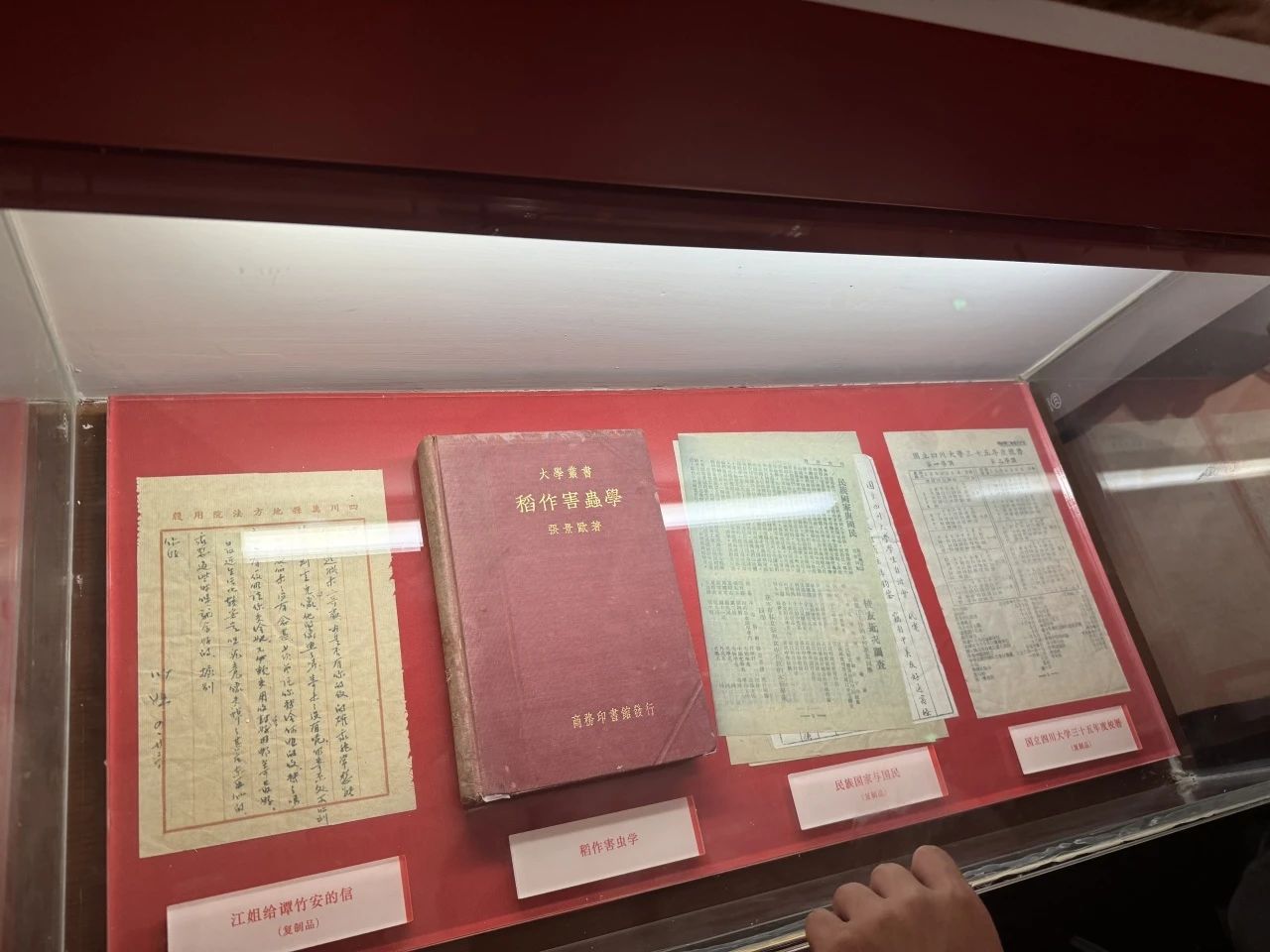 1-24060415001N10.jpg
